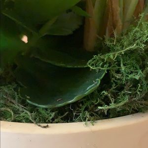 Meet your Posher, Karla